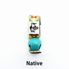 Native__Snative__