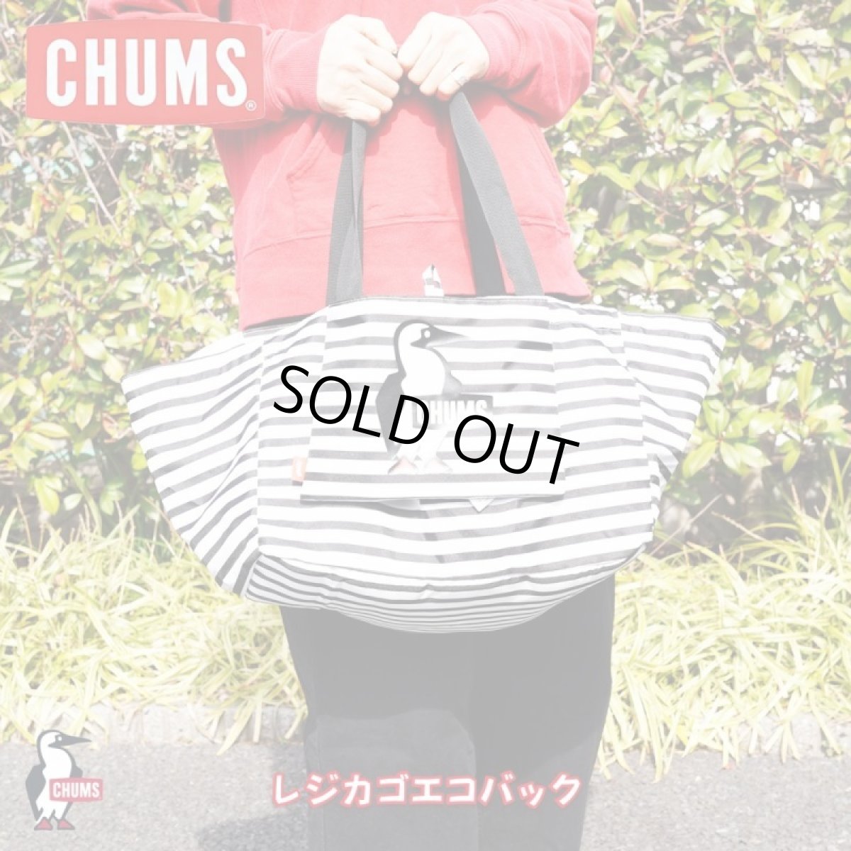 画像1: CHUMS チャムス レジかごEco Bag (1)