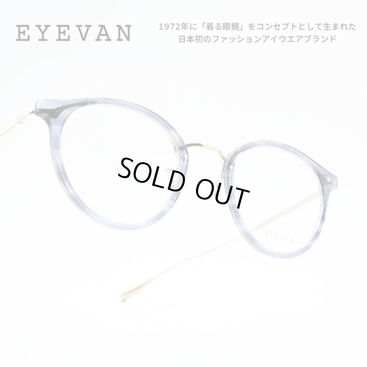 画像1: EYEVAN アイヴァン ACOSTA col-DSEA 46サイズ (1)