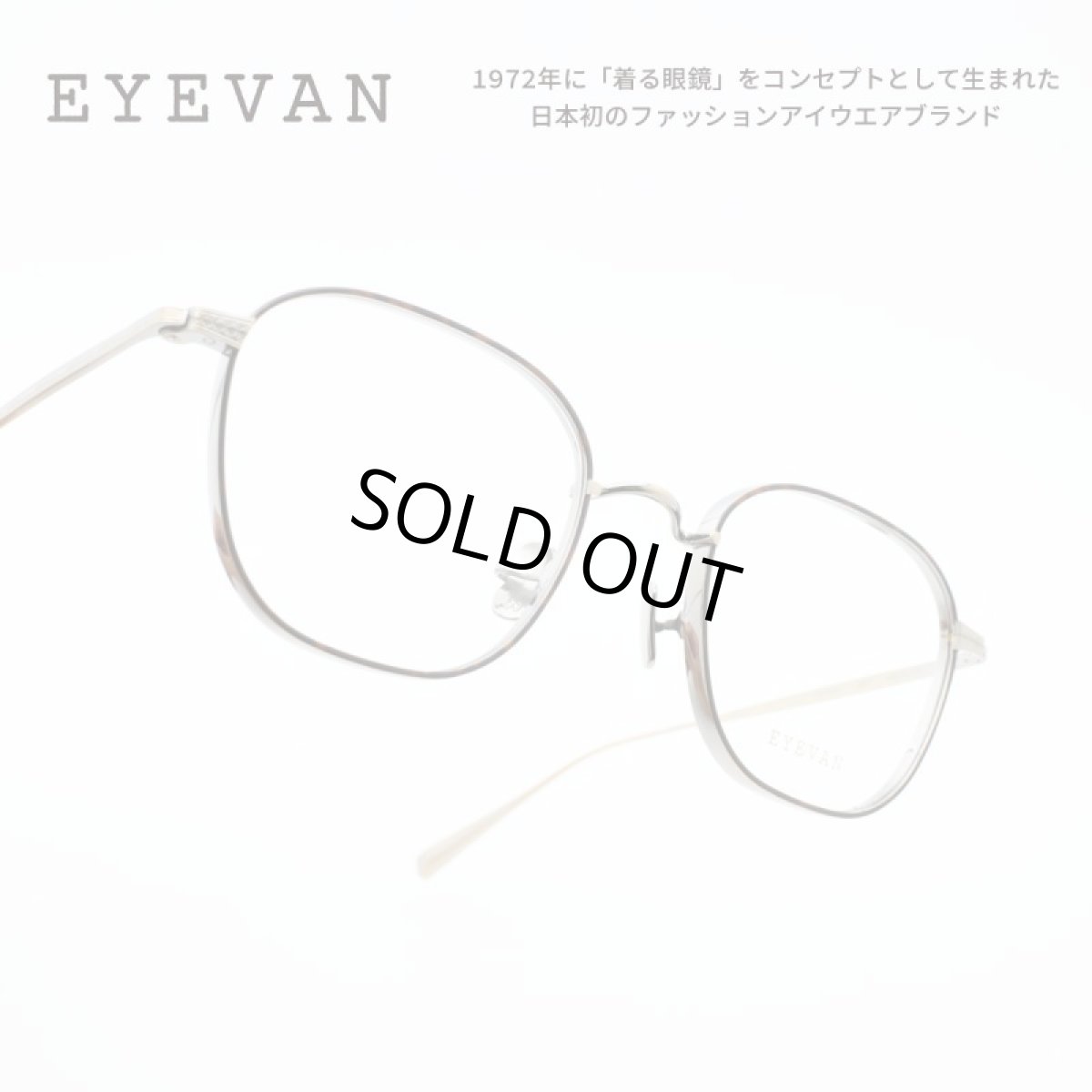 画像1: EYEVAN アイヴァン MINOTAUR col-AG/C 49サイズ (1)