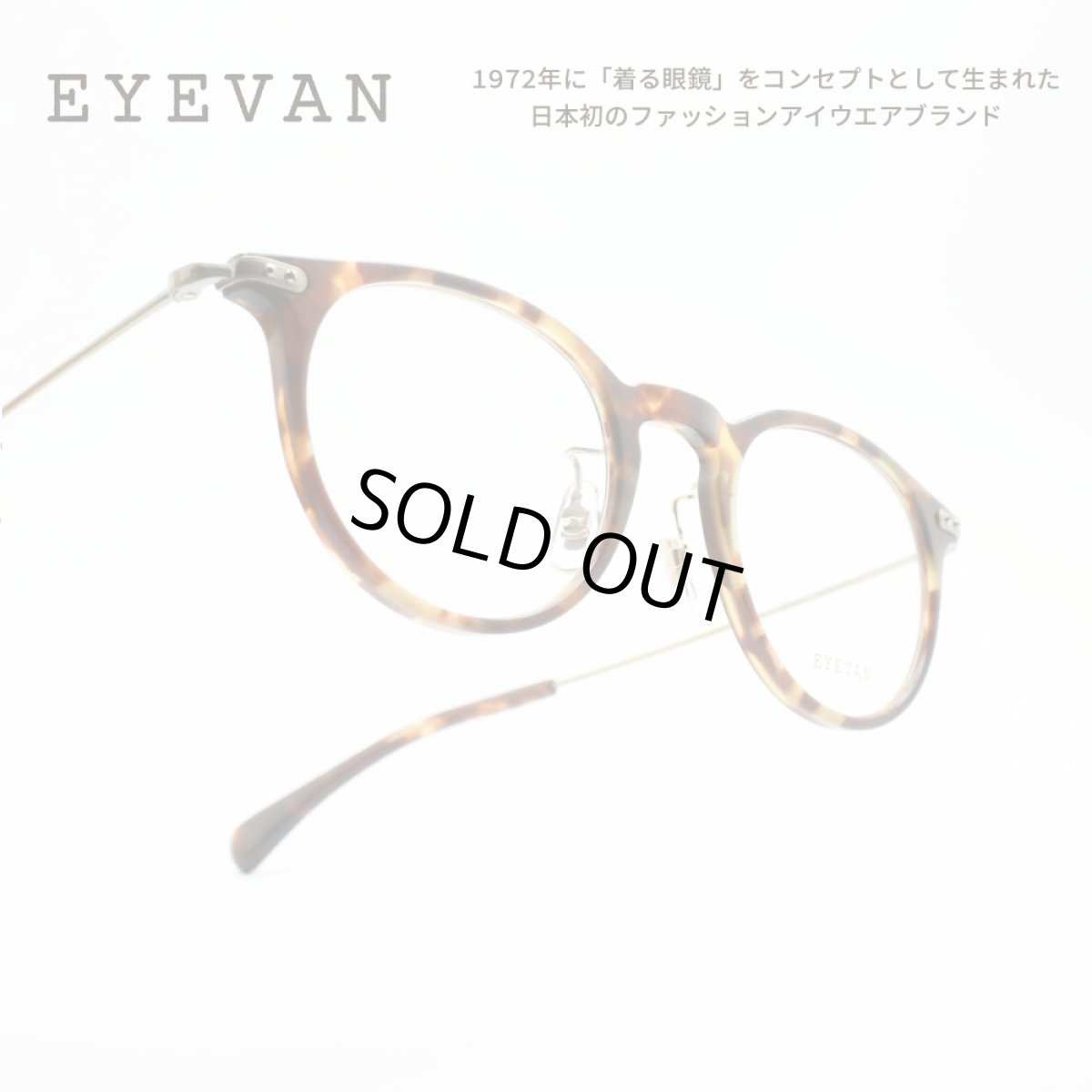 画像1: EYEVAN アイヴァン RIC col-TORT2 47サイズ (1)