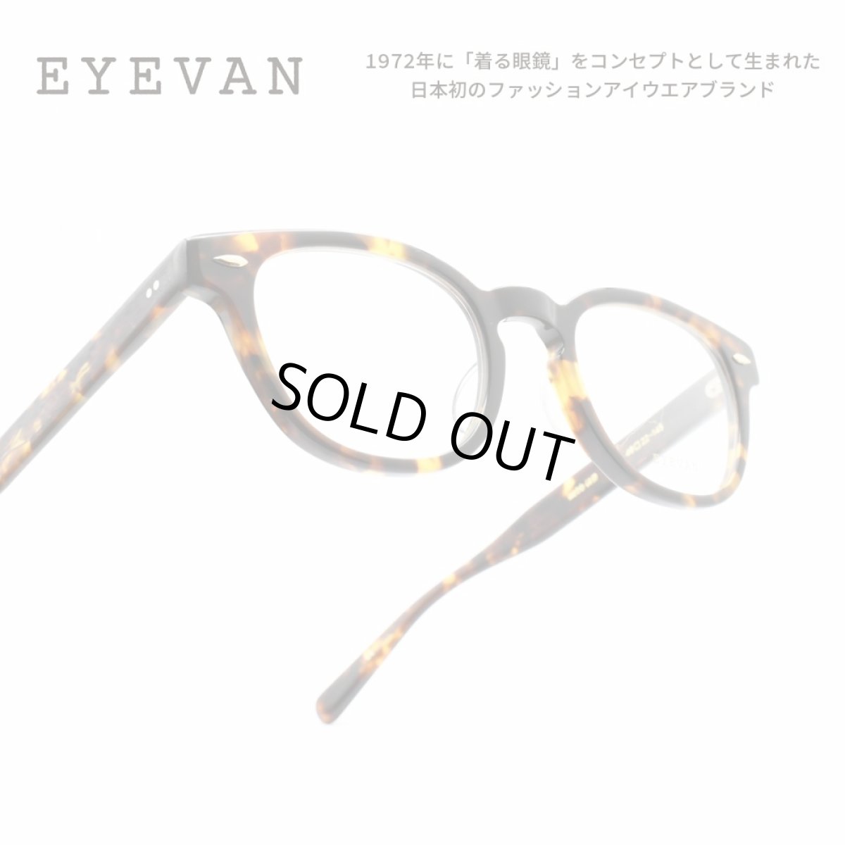 画像1: EYEVAN アイヴァン WEBB col-TORT 49サイズ (1)